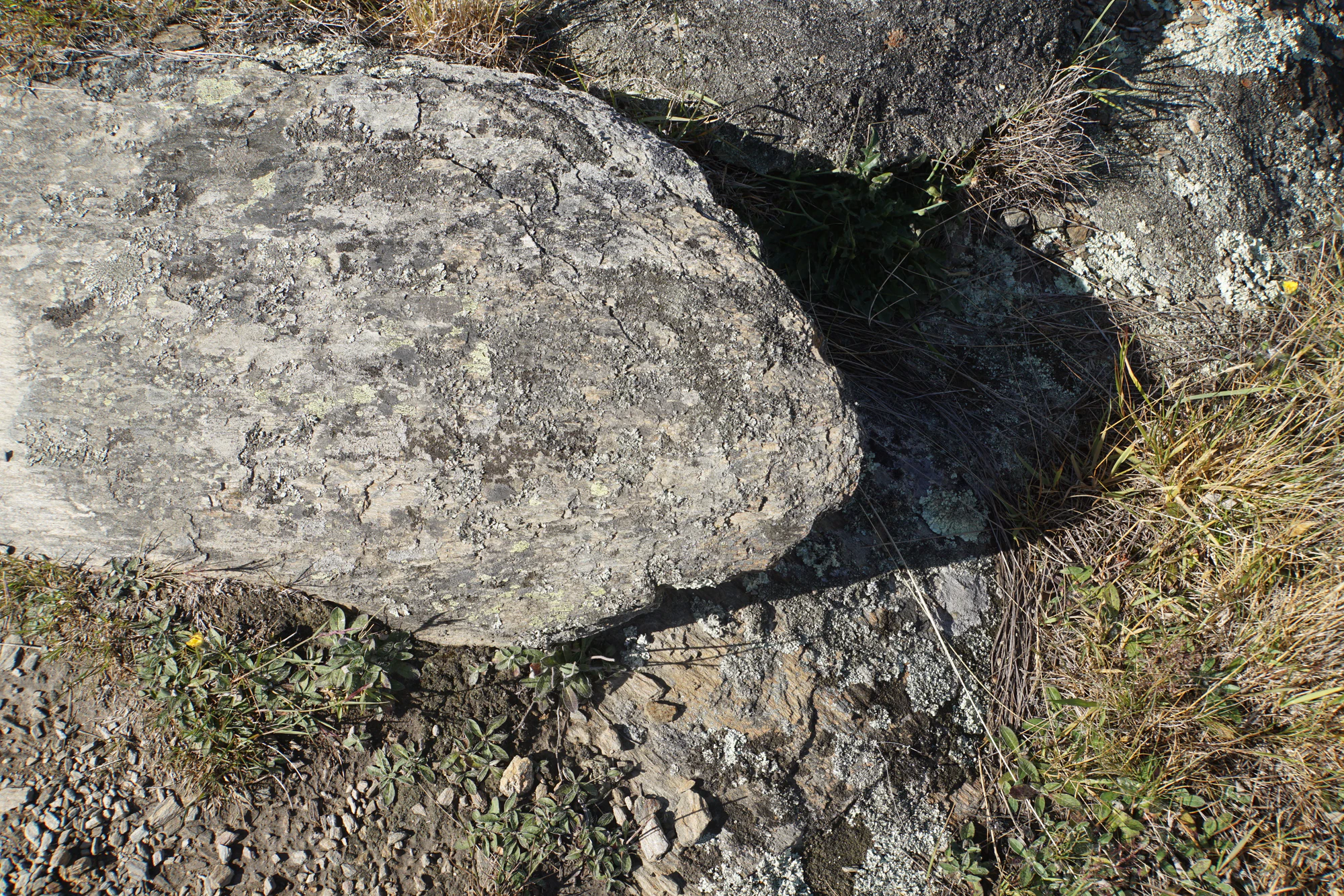 dry field rocks 032 — Скачать