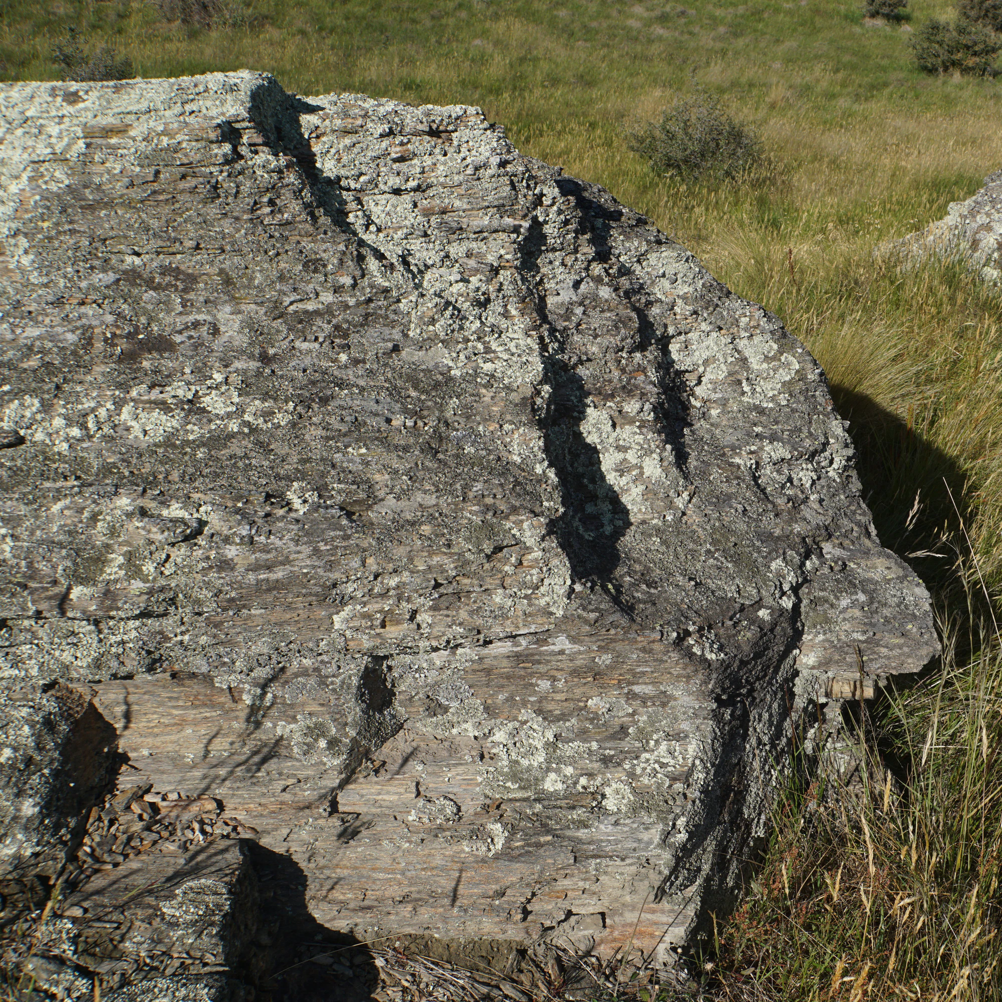 dry field rocks 033 — Descargar