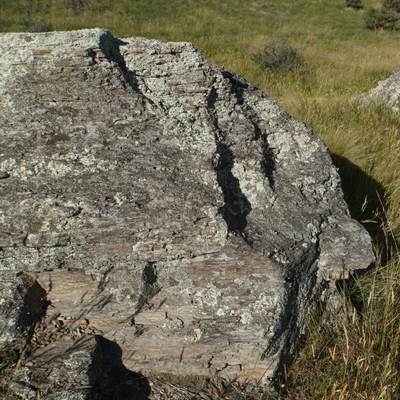 dry field rocks 033 — Descargar
