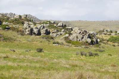 dry field rocks 034 — Скачать