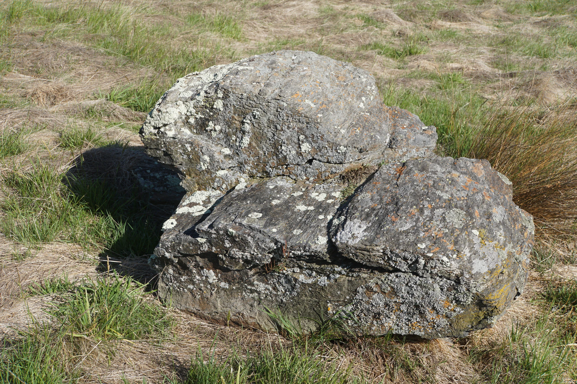 dry field rocks 037 — Descargar