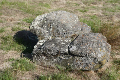 dry field rocks 037 — Descargar