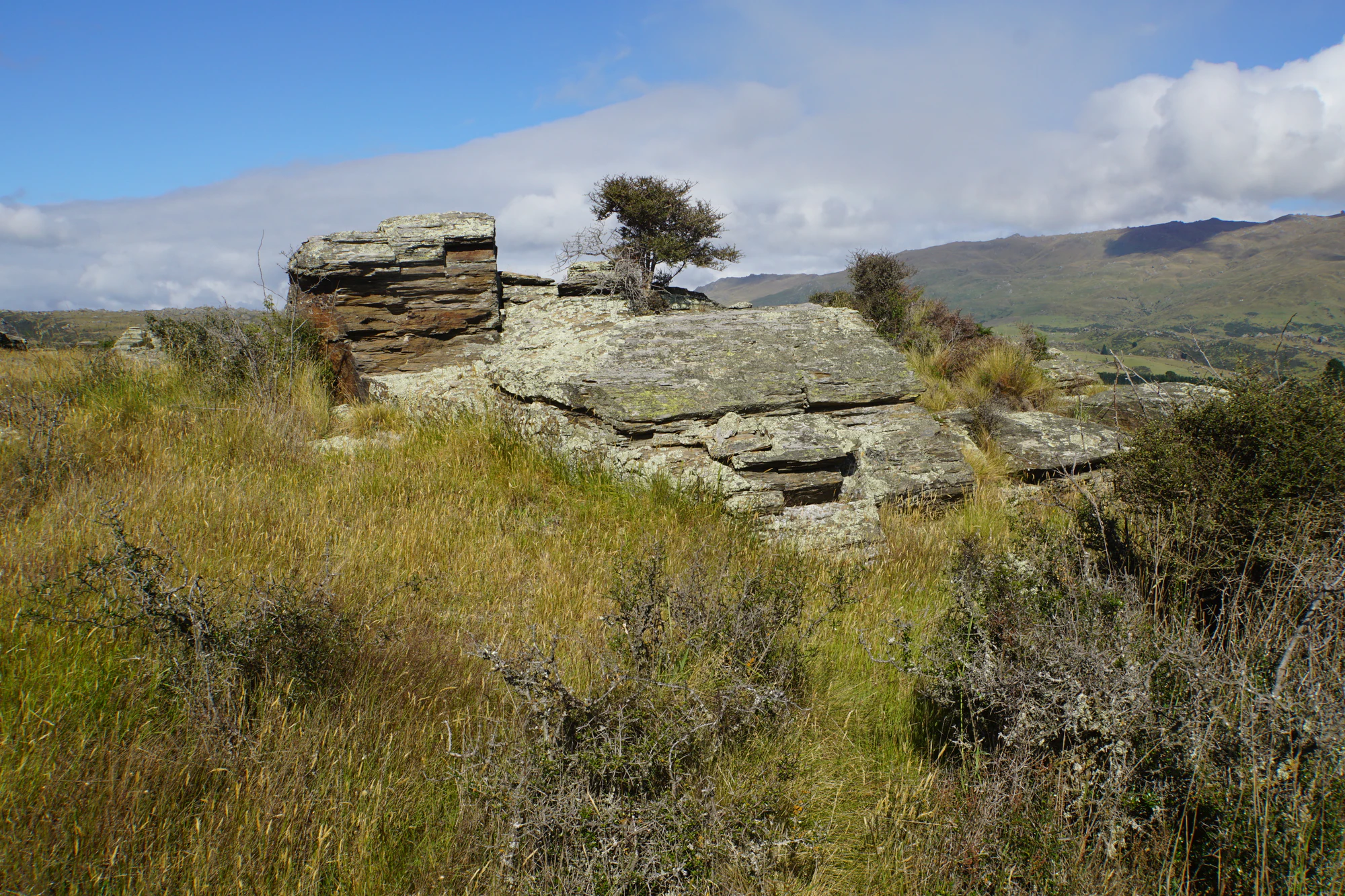 dry field rocks 040 — Descargar