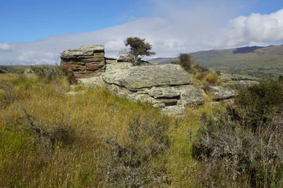 dry field rocks 040 — Descargar