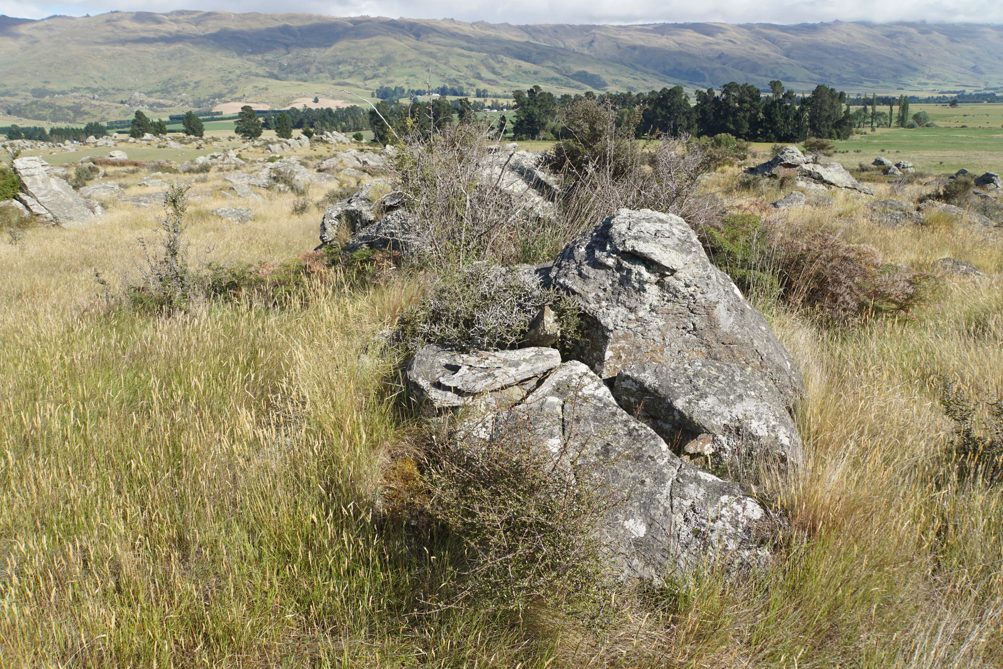 dry field rocks 041 — Descargar