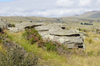 dry field rocks 043 — Скачать