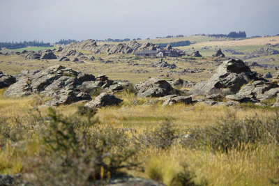dry field rocks 044 — Download