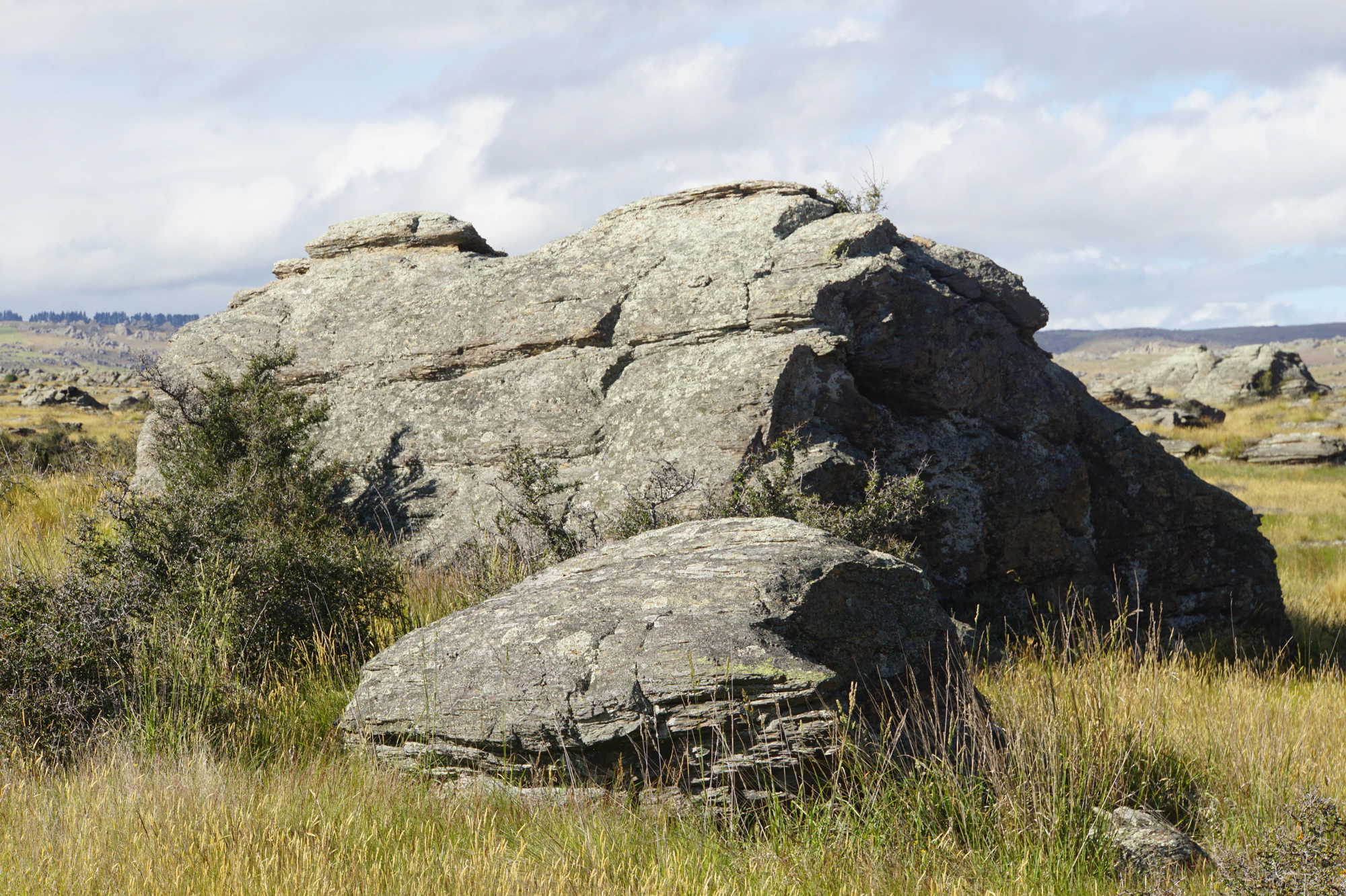 dry field rocks 045 — Descargar
