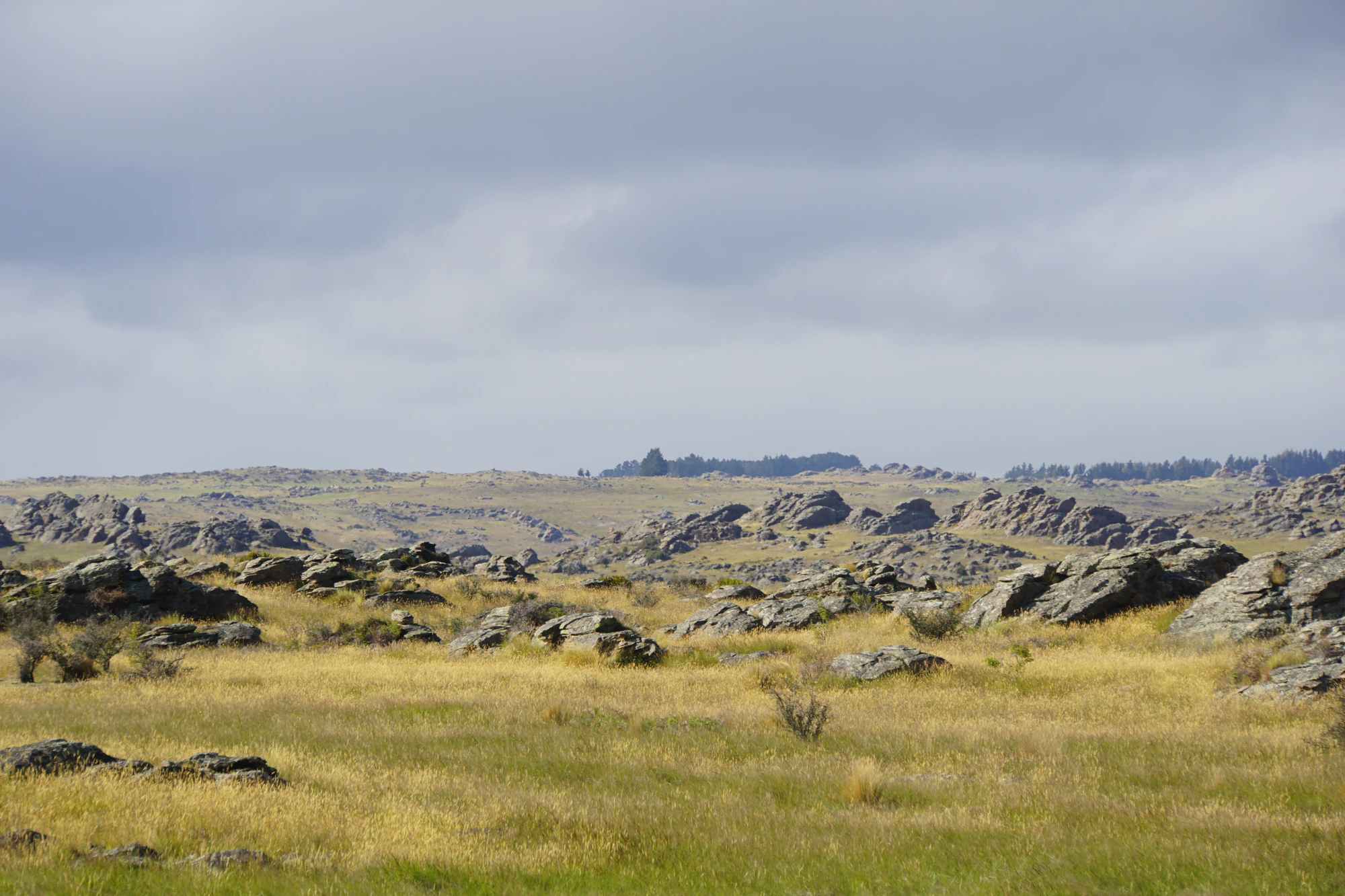 dry field rocks 048 — Descargar