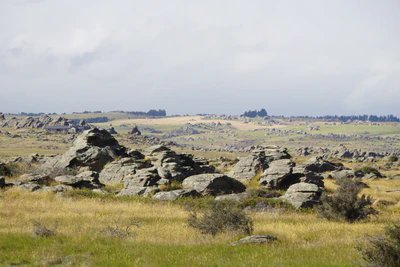 dry field rocks 049 — Скачать