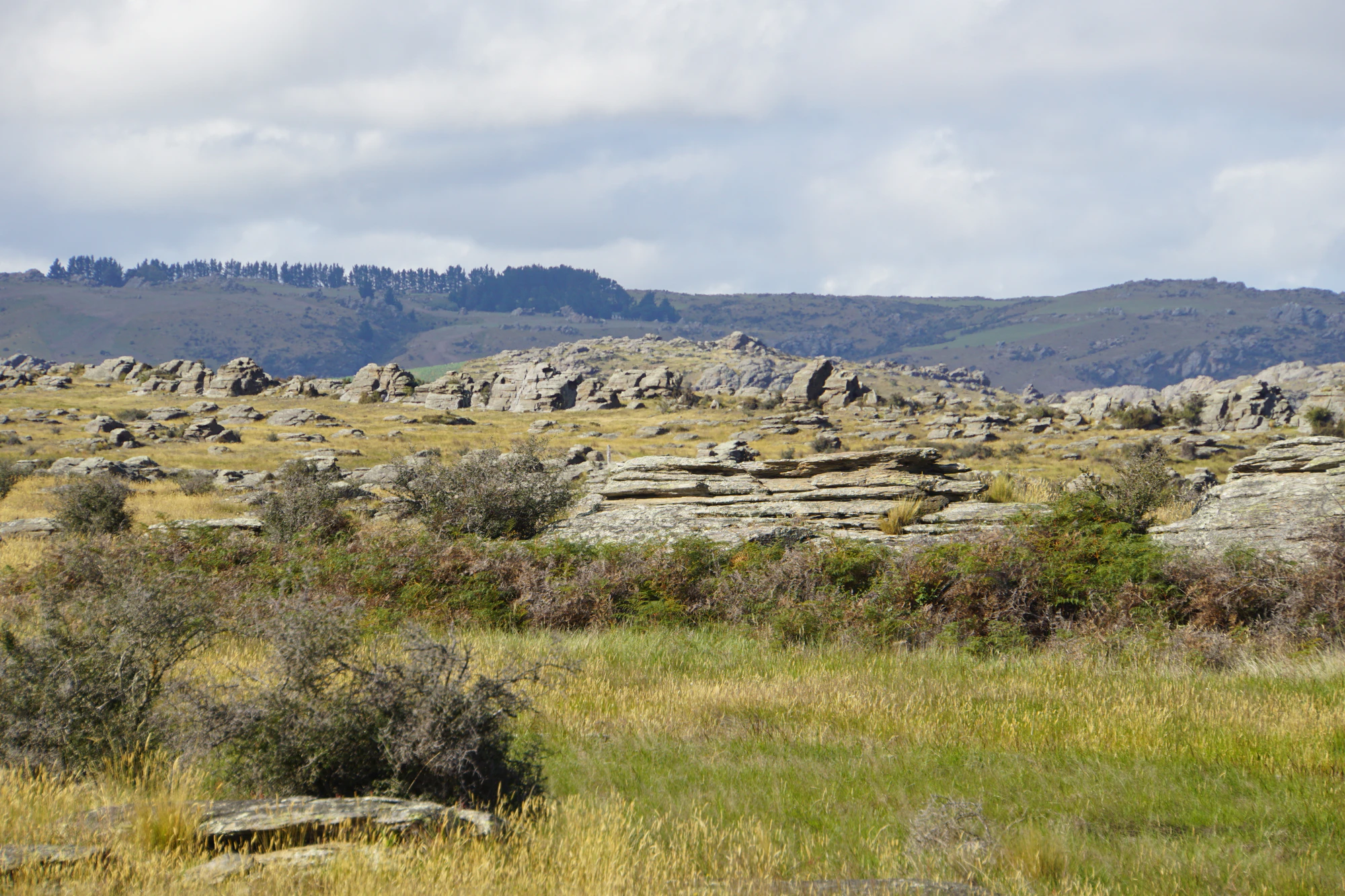 dry field rocks 050 — Скачать