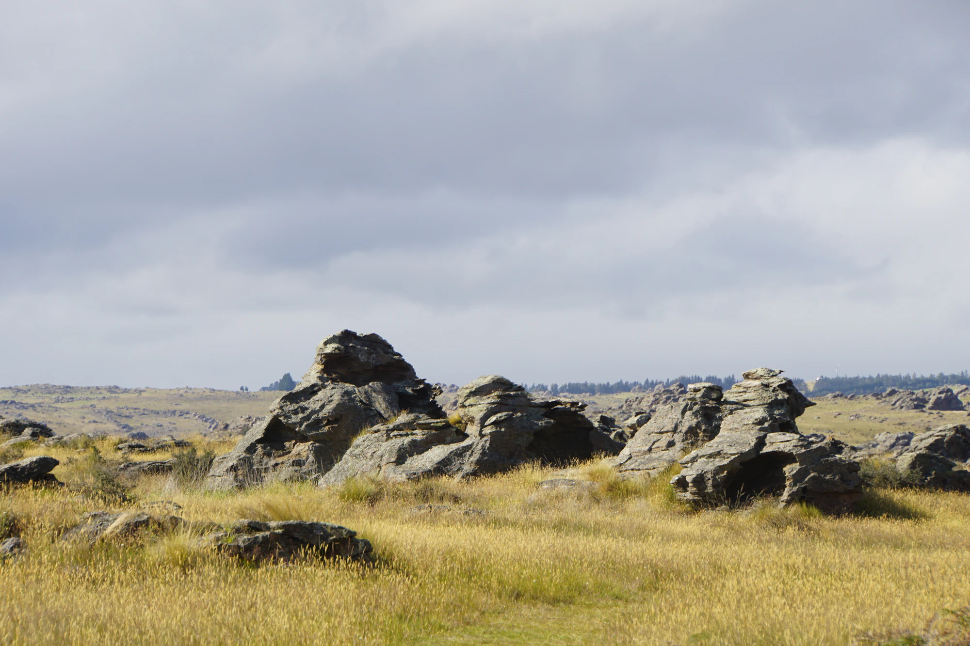 dry field rocks 052 — Descargar