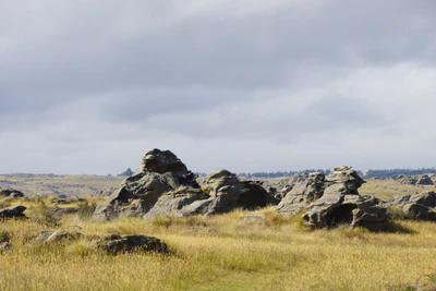 dry field rocks 052 — Descargar