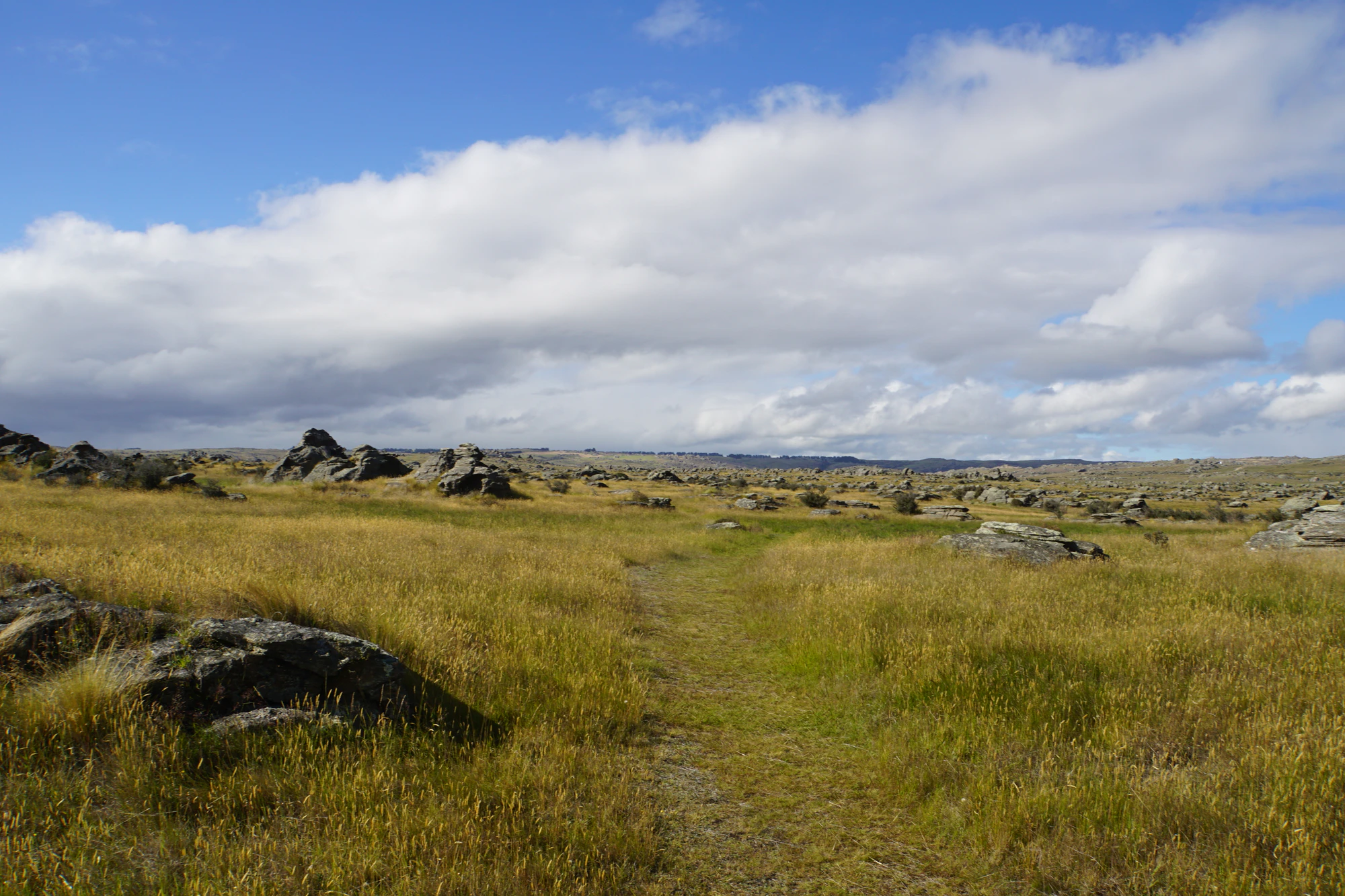 dry field rocks 054 — Скачать