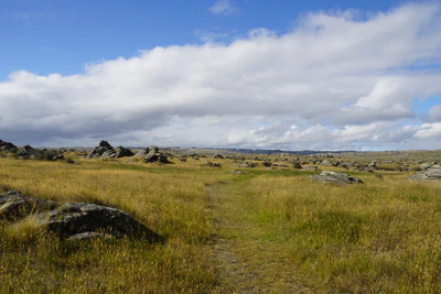 dry field rocks 054 — Скачать
