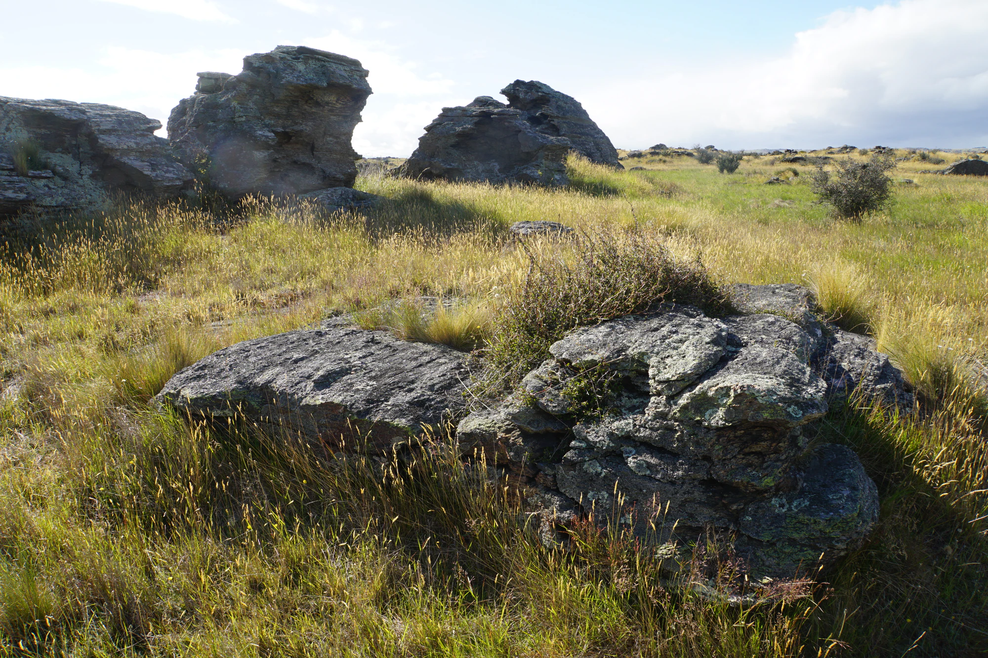 dry field rocks 056 — Скачать