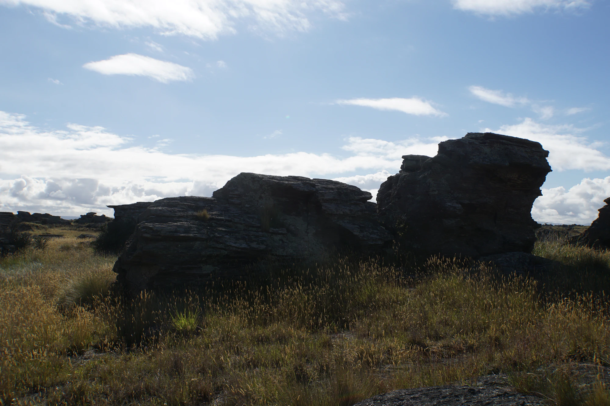 dry field rocks 057 — Descargar