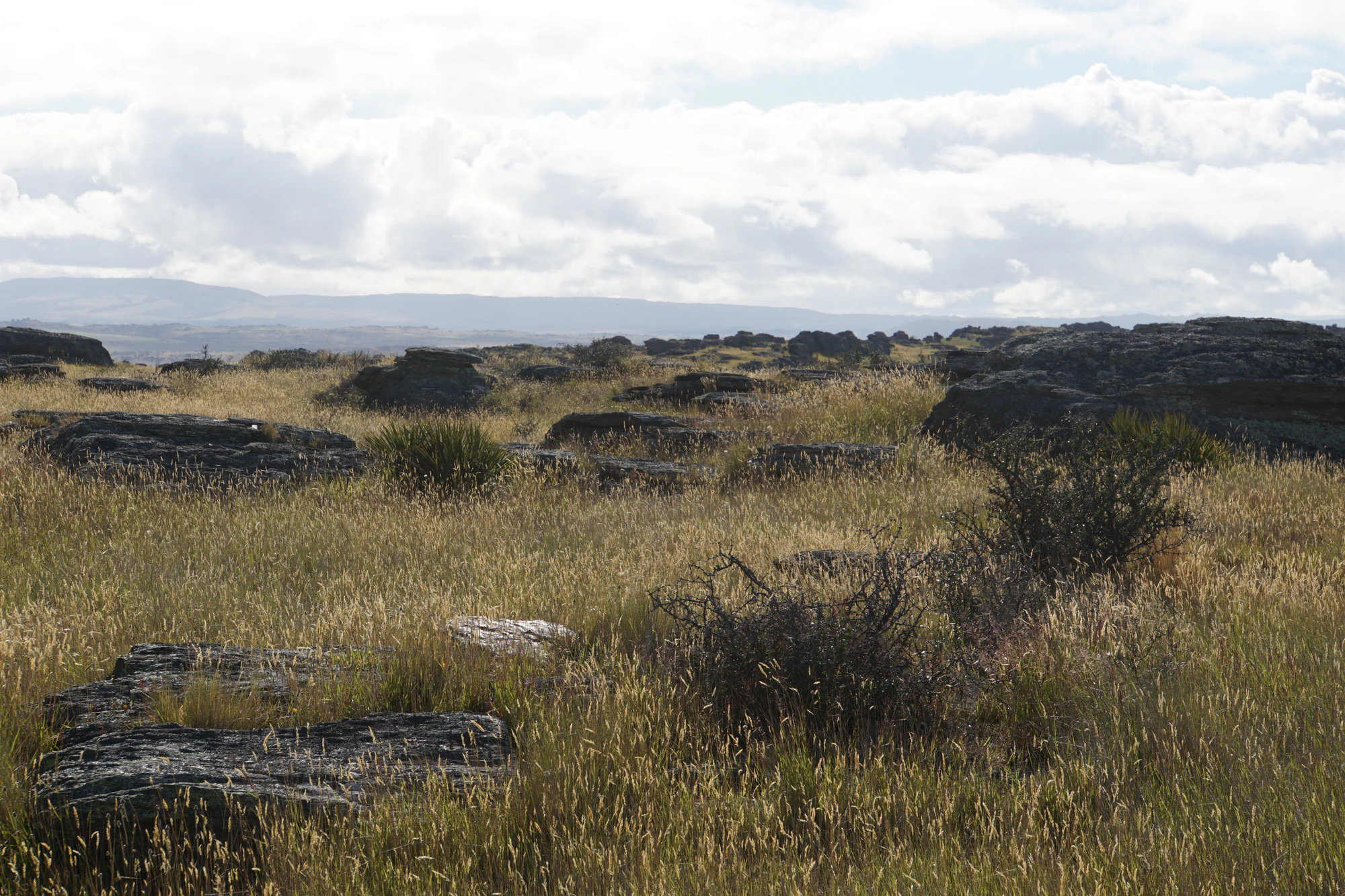 dry field rocks 059 — Скачать