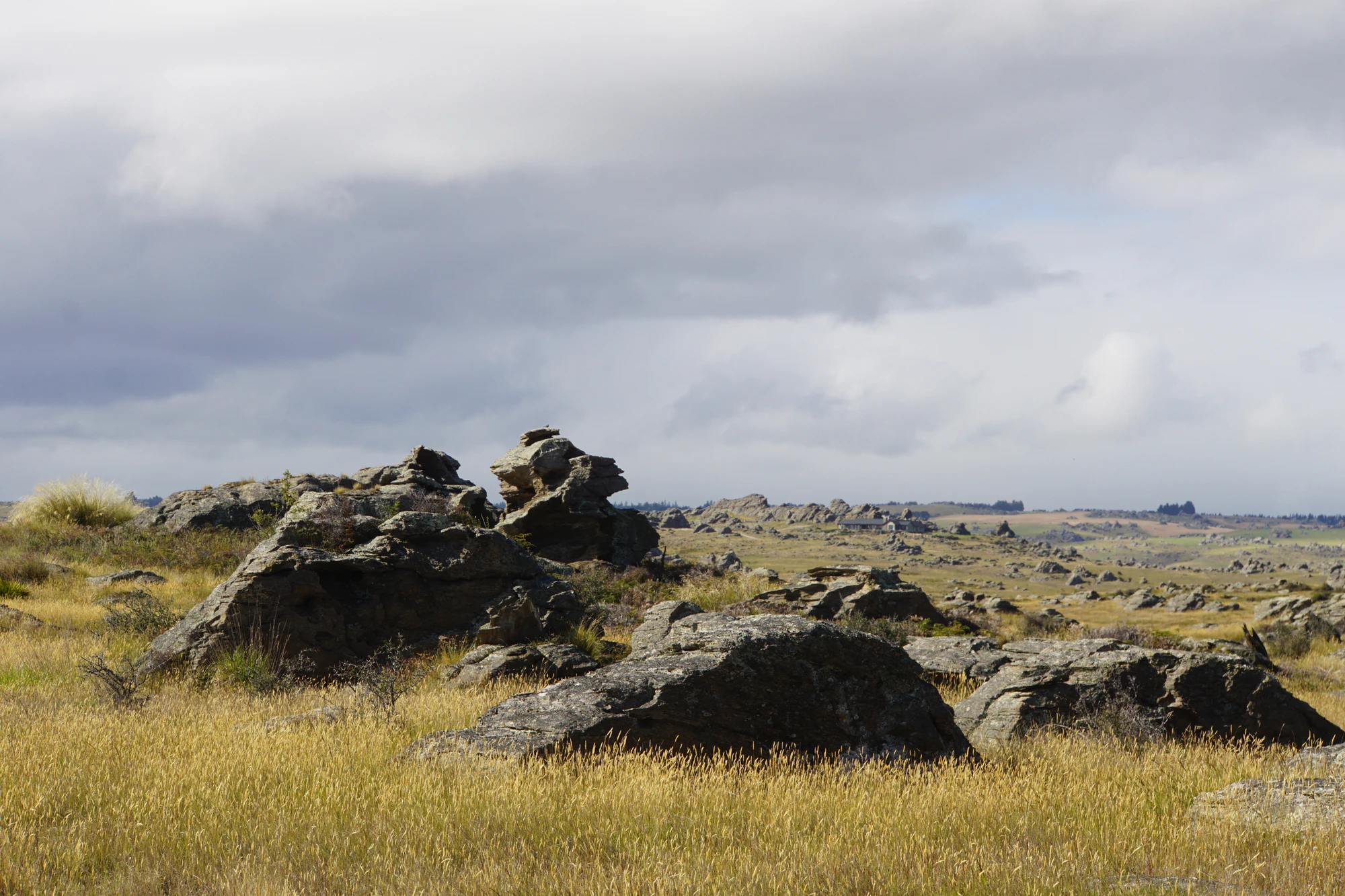 dry field rocks 062 — Descargar