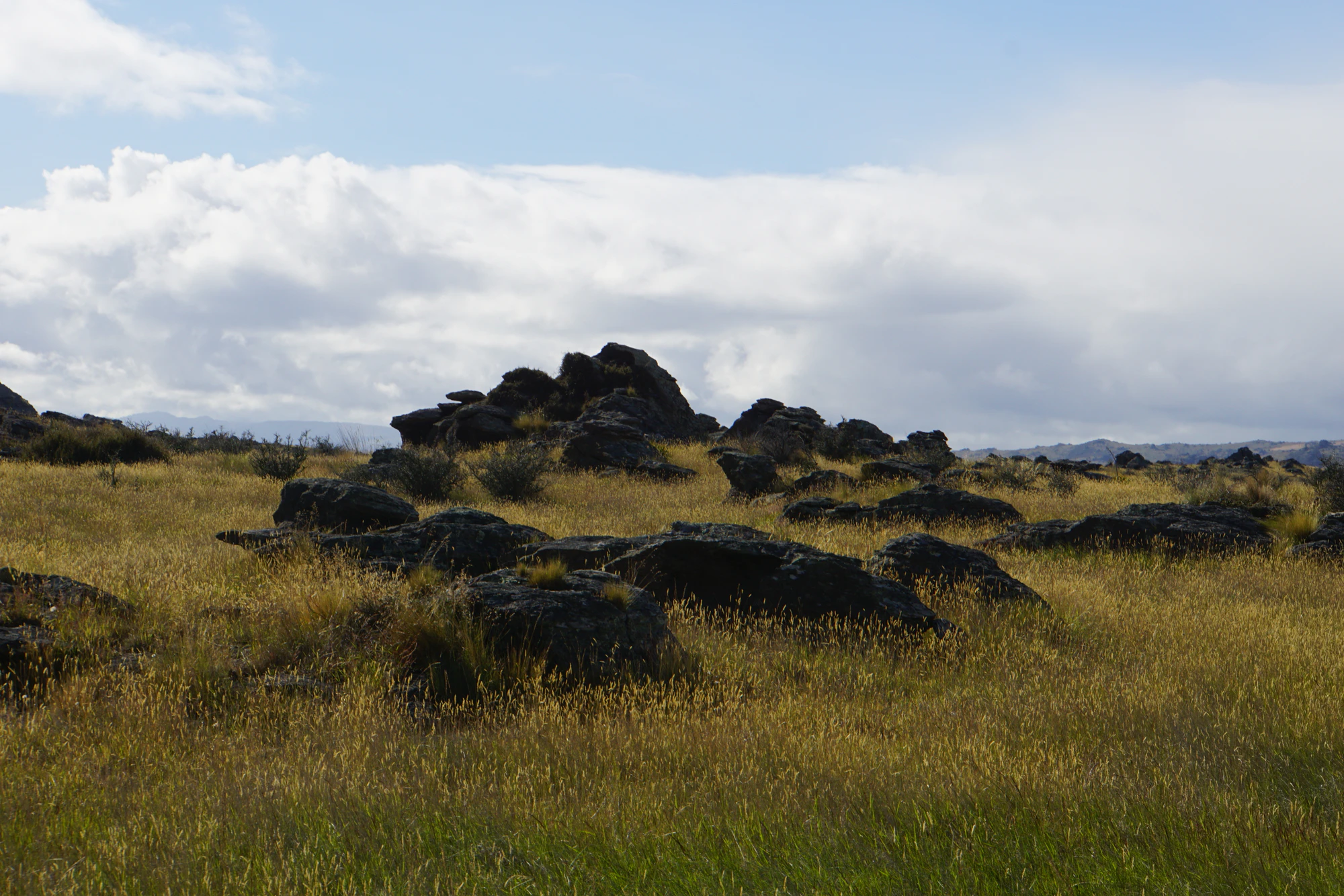 dry field rocks 063 — Скачать
