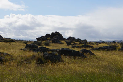 dry field rocks 063 — Скачать