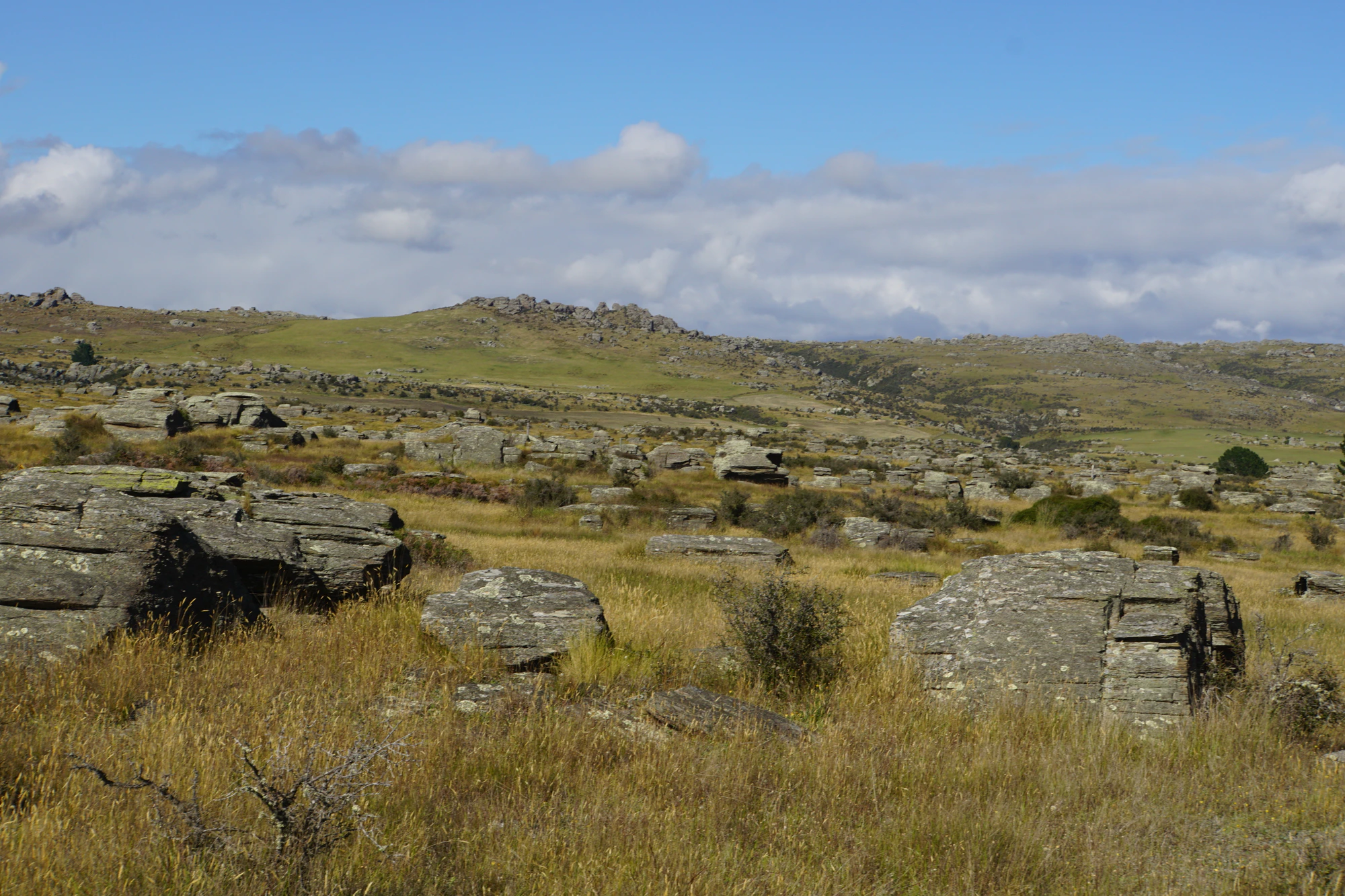 dry field rocks 064 — Скачать