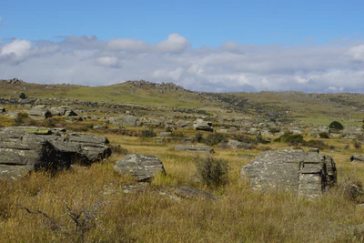 dry field rocks 064 — Скачать