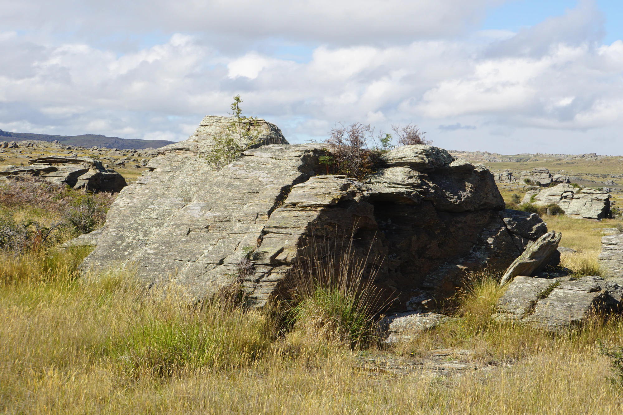 dry field rocks 065 — Descargar