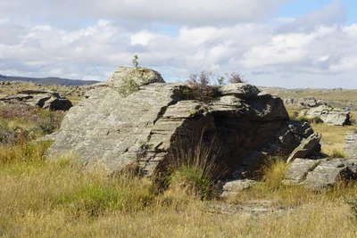 dry field rocks 065 — Descargar
