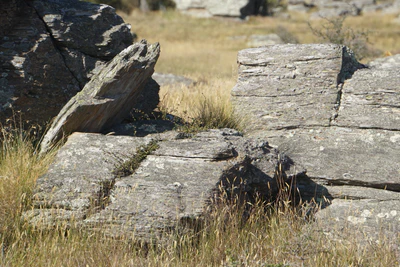 dry field rocks 066 — Descargar
