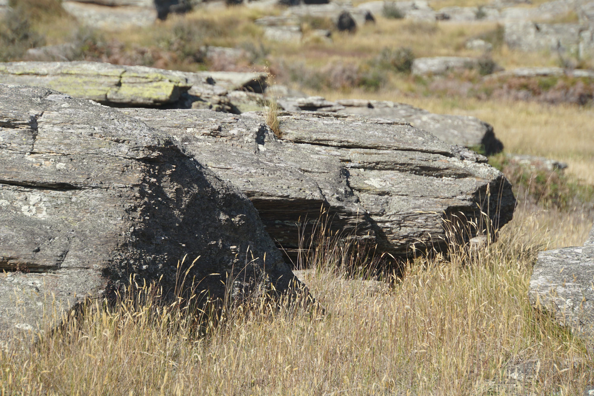 dry field rocks 067 — Скачать
