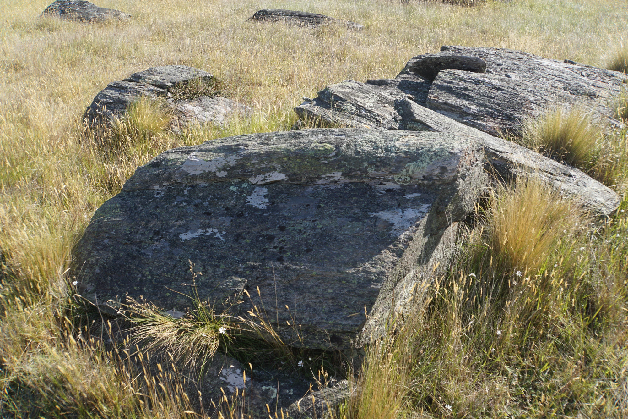 dry field rocks 068 — Descargar