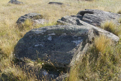 dry field rocks 068 — Descargar