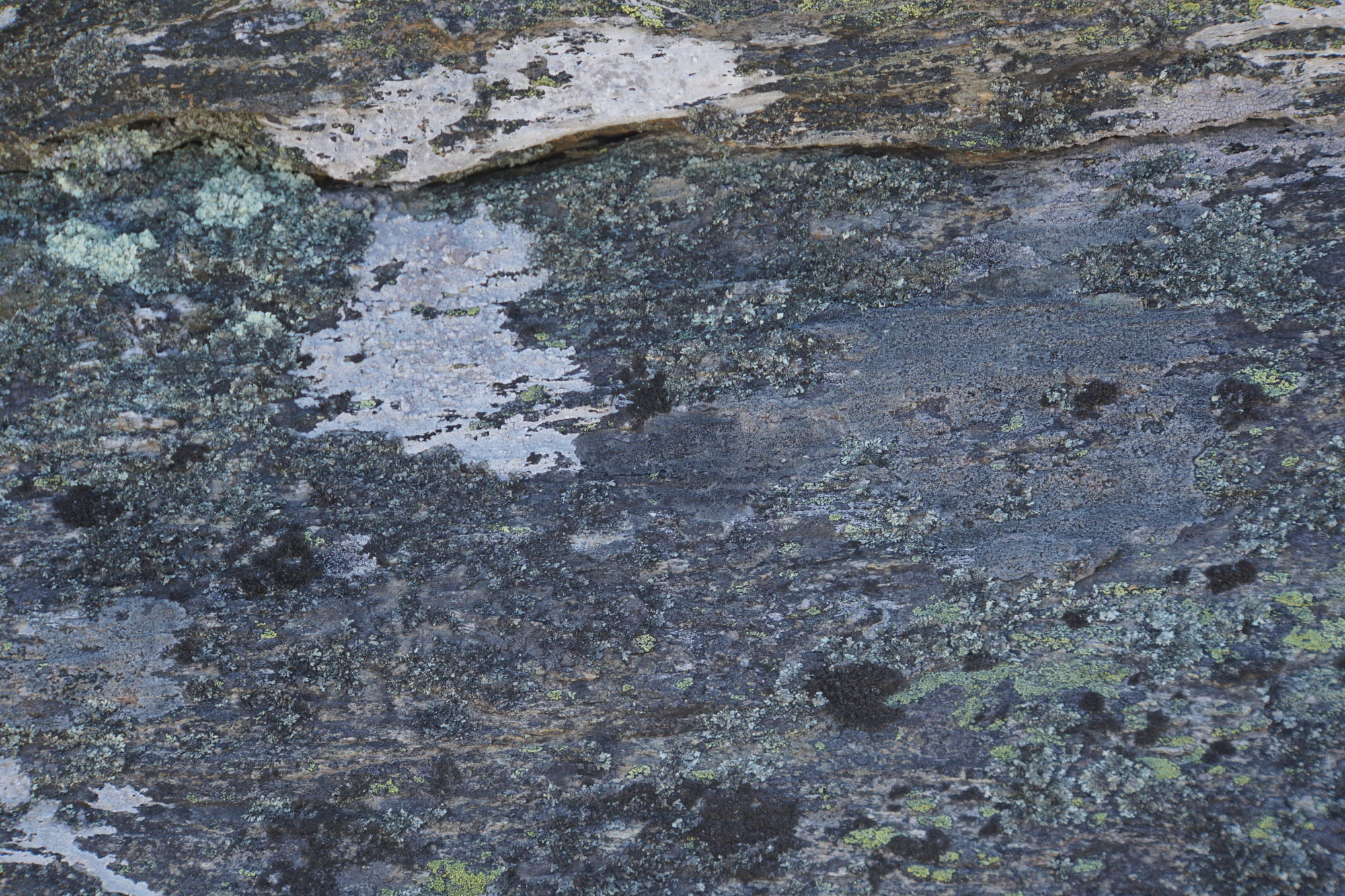dry field rocks 069 — Descargar