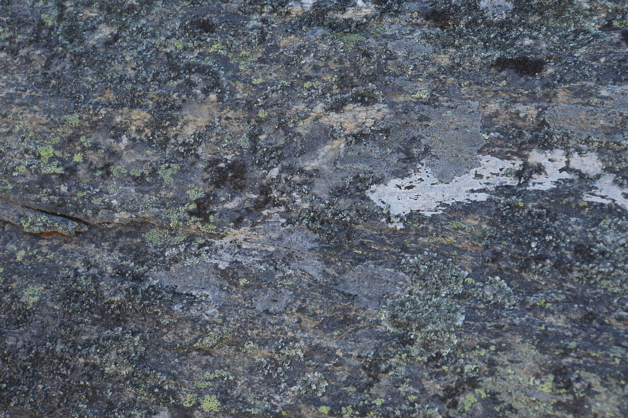 dry field rocks 070 — Descargar
