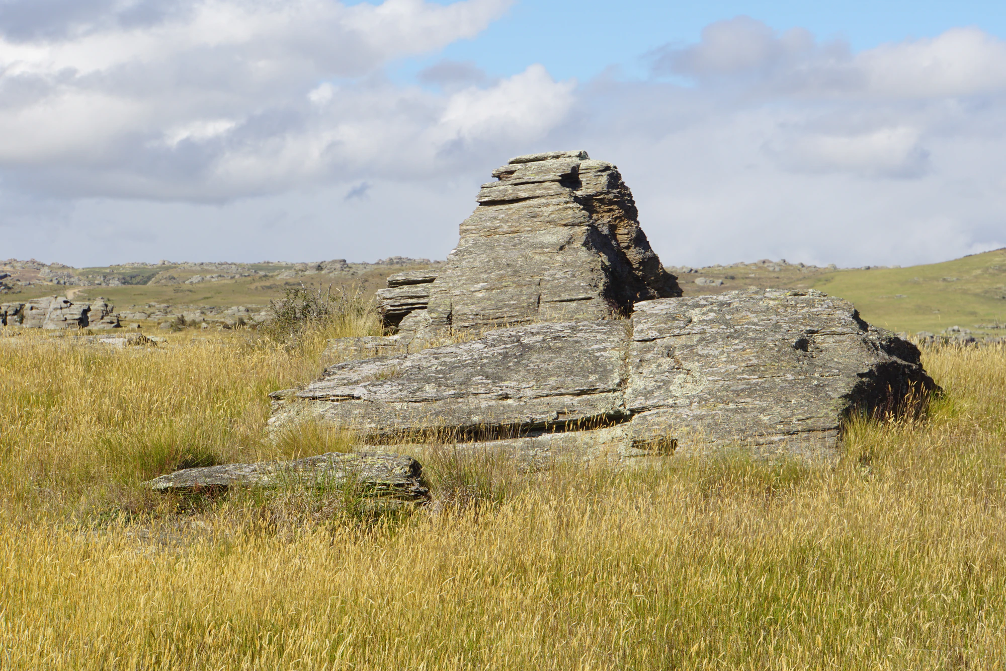 dry field rocks 071 — Скачать