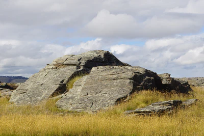 dry field rocks 072 — Скачать