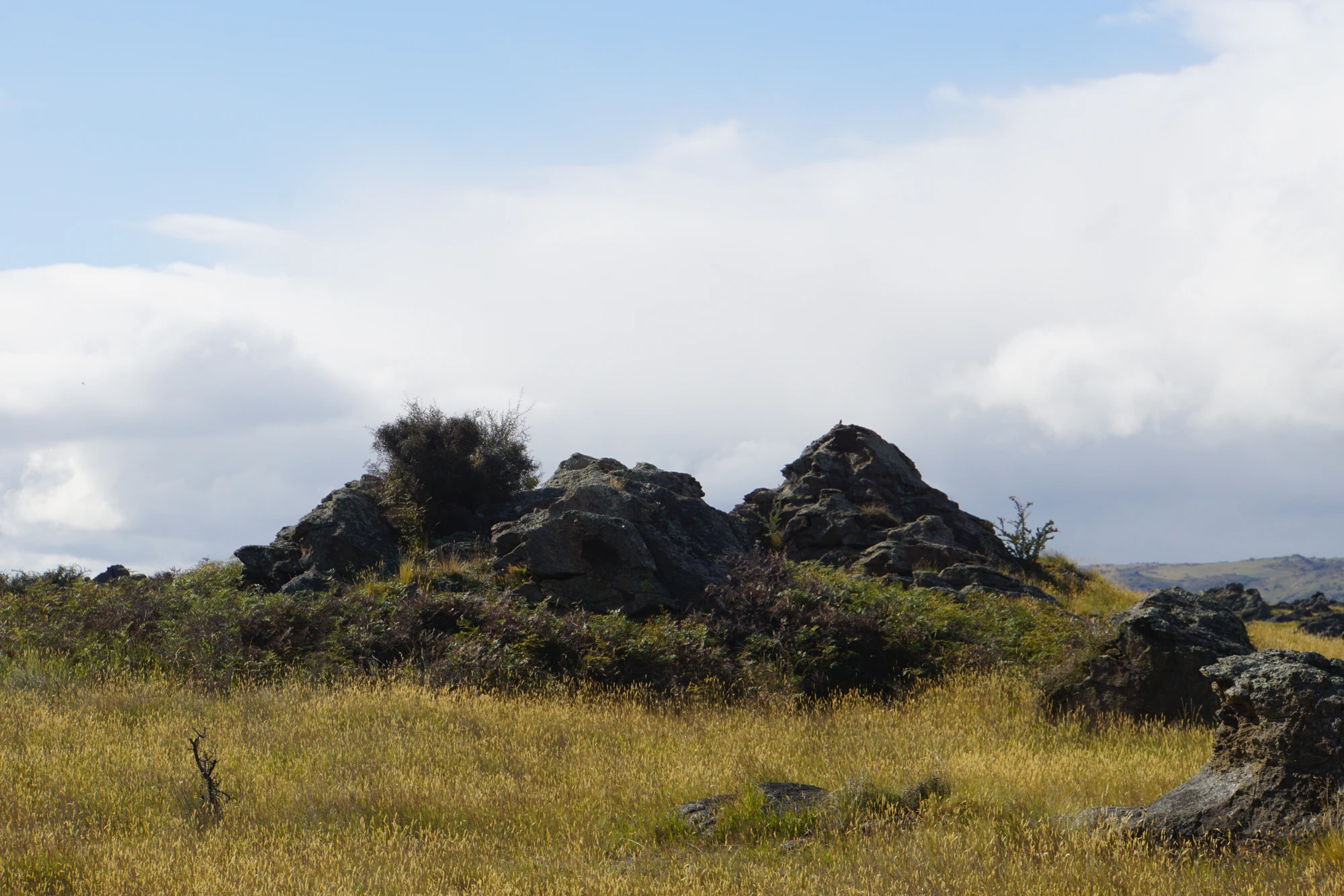 dry field rocks 073 — Скачать