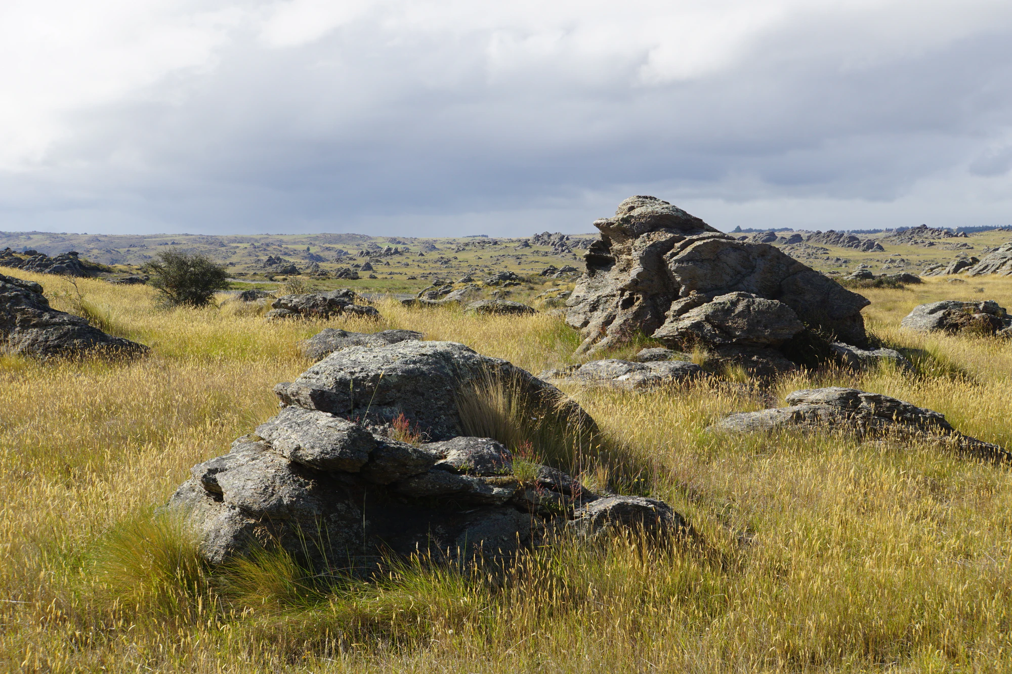 dry field rocks 074 — Descargar