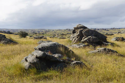 dry field rocks 074 — Descargar