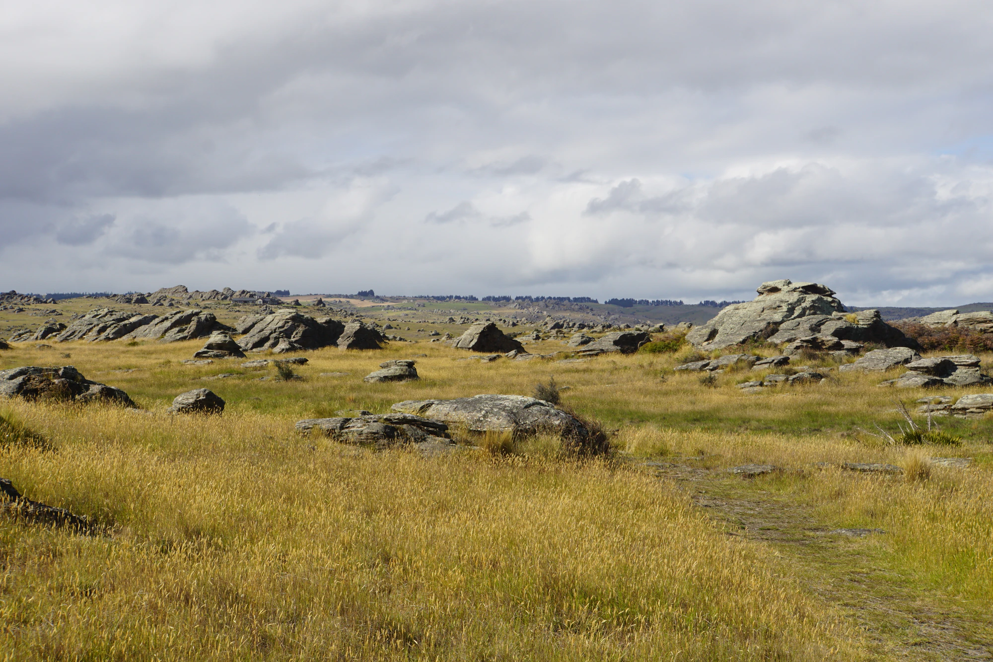 dry field rocks 075 — Download