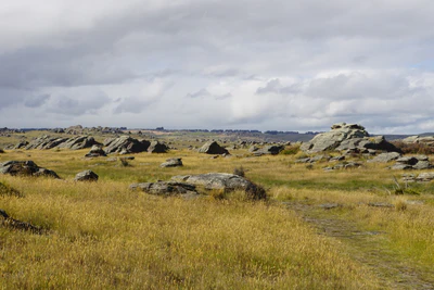 dry field rocks 075 — Download
