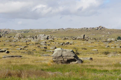 dry field rocks 076 — Descargar
