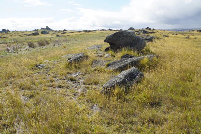 dry field rocks 077 — Descargar