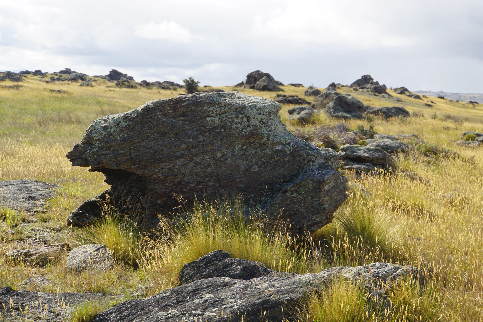 dry field rocks 078 — Скачать