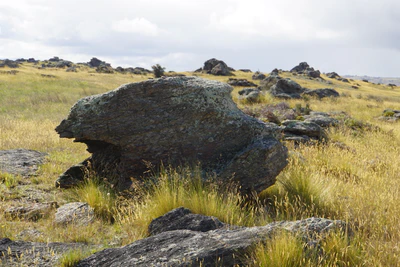 dry field rocks 078 — Скачать