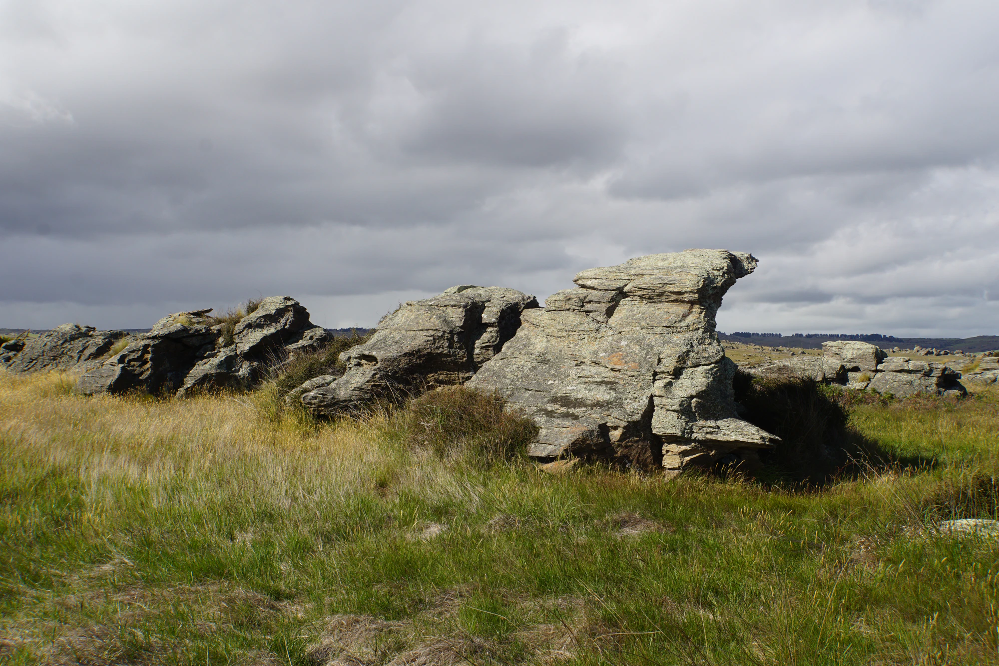 dry field rocks 079 — Descargar