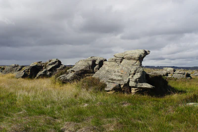 dry field rocks 079 — Descargar