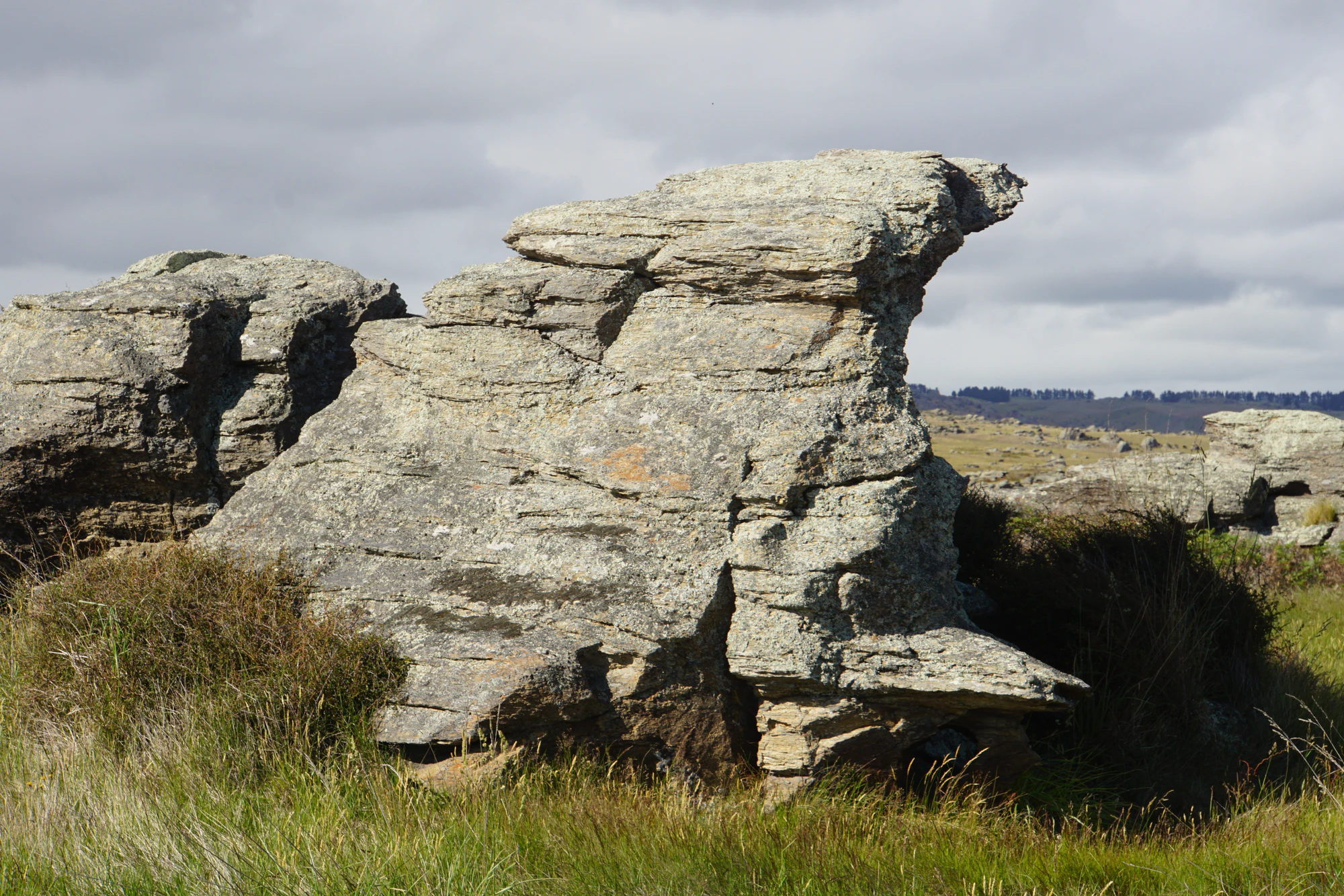 dry field rocks 080 — Descargar