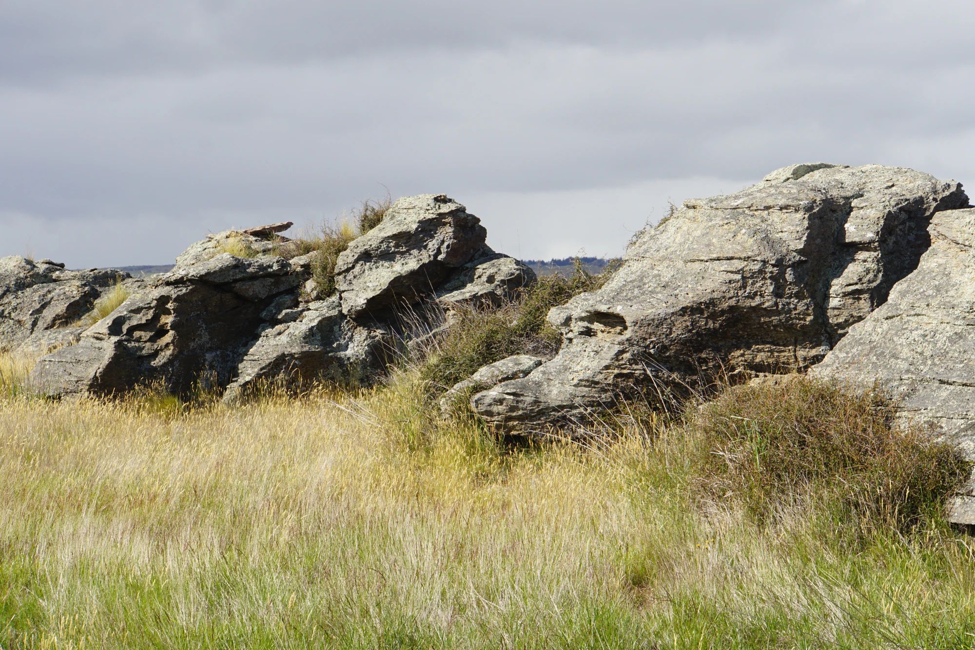 dry field rocks 081 — Скачать